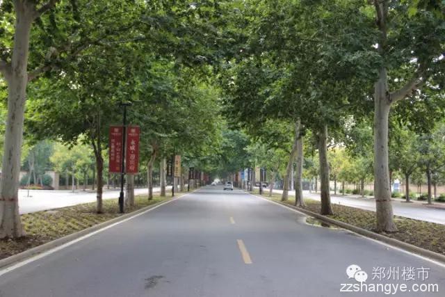 另一种郑州：大树、成荫、神秘的园