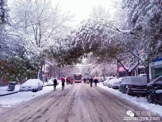 2015年的第一场雪：郑州的美与郑县的涩