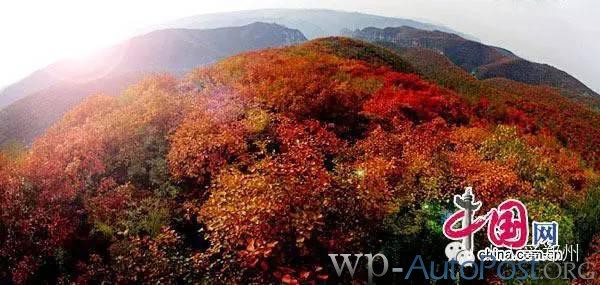 收藏！郑州人秋天出游赏红叶最佳景点