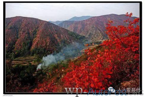 收藏！郑州人秋天出游赏红叶最佳景点