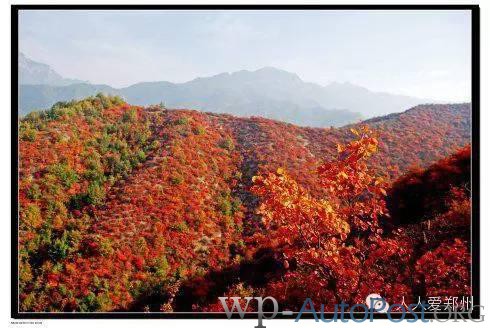 收藏！郑州人秋天出游赏红叶最佳景点