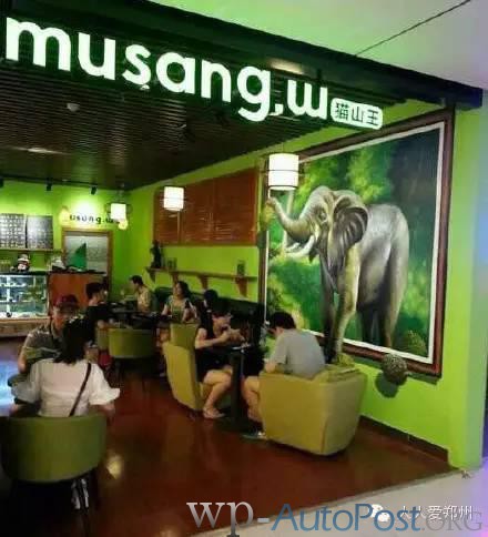 美食探店丨郑州顶级榴莲甜品店musang.w