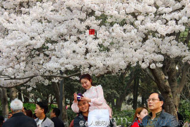 郑州的春天，犹如一座春城