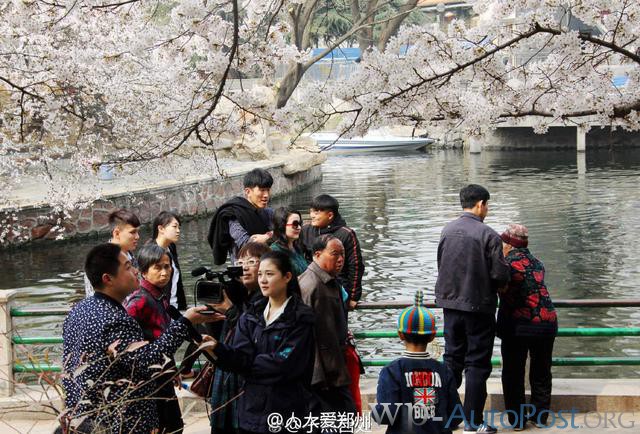 郑州的春天，犹如一座春城