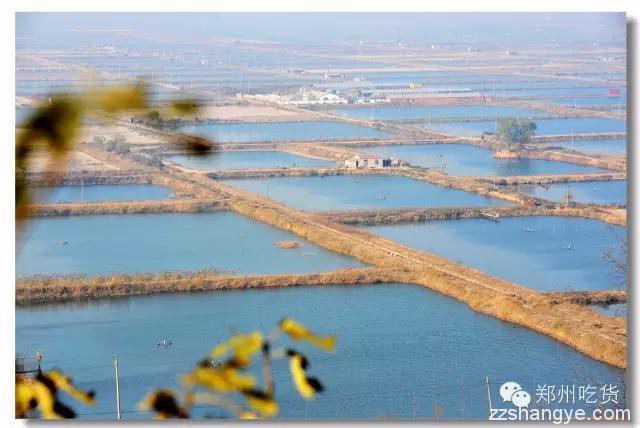 郑州15个野外烧烤根据地大盘点，美景美食全都有！