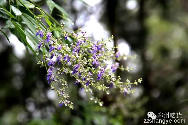 周末一起去看“海”，原价607元的鱼宴之旅现只需199元！