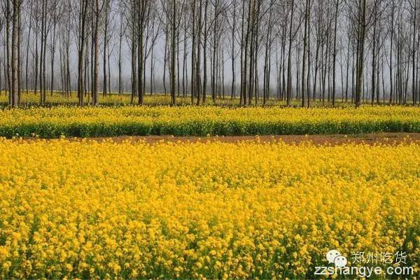 周末一起去看“海”，原价607元的鱼宴之旅现只需199元！