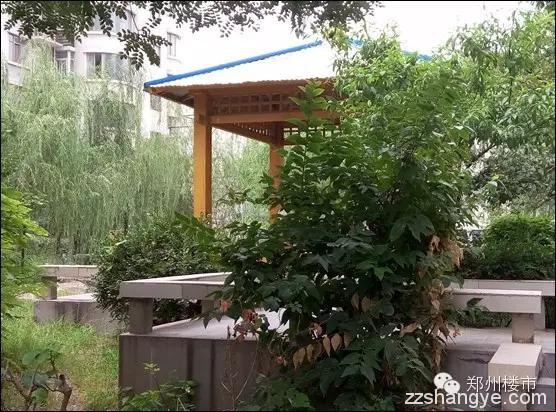 高品质小区的凋落之路：同乐花园的自治给了我们什么启示？