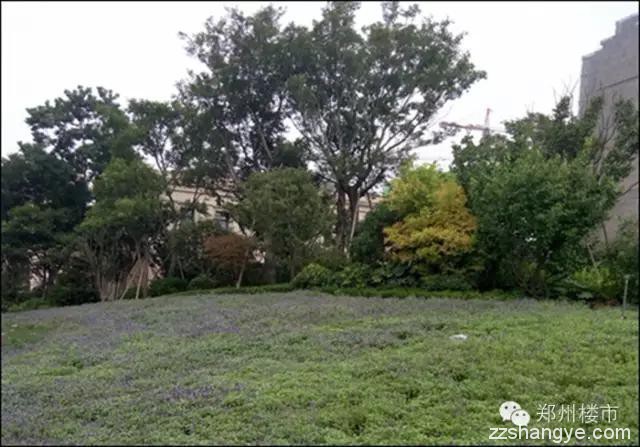 南龙湖已沦陷，纯刚需该如何选择？