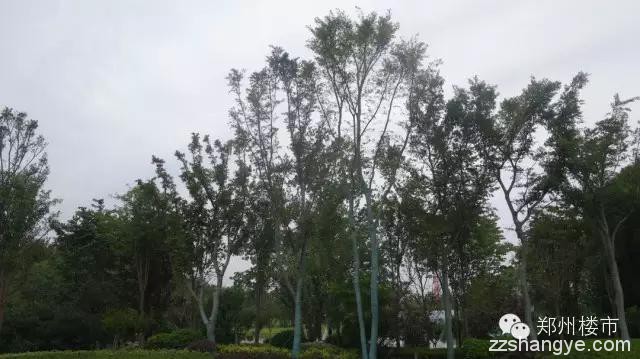 出游：郑州那些上亿元打造的售楼部和景观区有多壕？