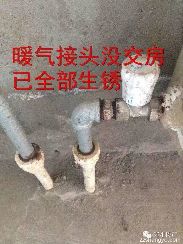 亲历盛润小城之春交房，恍惚之中，以为进了升龙的小区