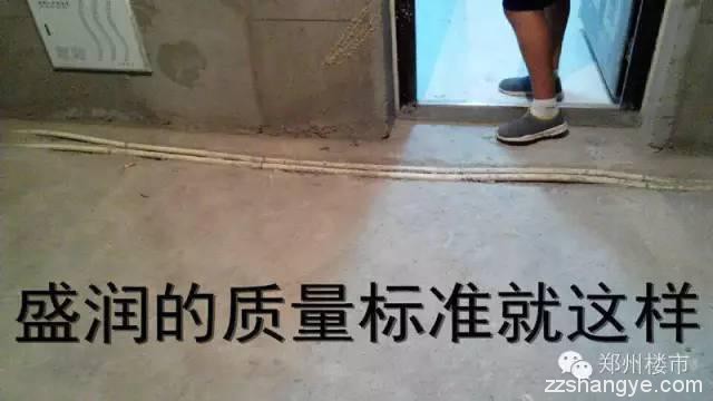 亲历盛润小城之春交房，恍惚之中，以为进了升龙的小区