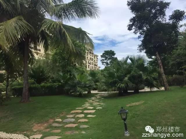 中国仅有的北纬18度区域：三亚有哪些可居可旅的楼盘值得去关注