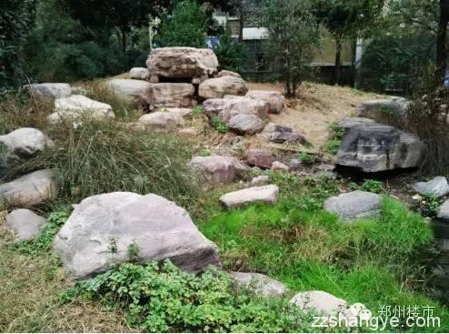 你在沙盘上看到的水系在未来是美丽景观？还是臭水沟、干水池？