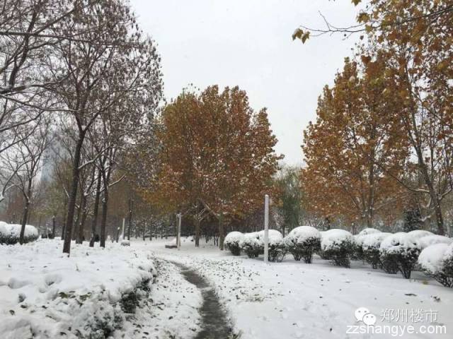 2015年的第一场雪：郑州的美与郑县的涩