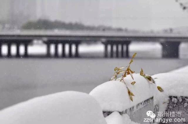 2015年的第一场雪：郑州的美与郑县的涩