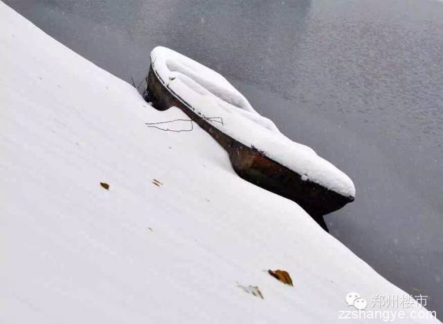 2015年的第一场雪：郑州的美与郑县的涩