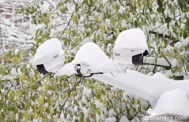 2015年的第一场雪：郑州的美与郑县的涩