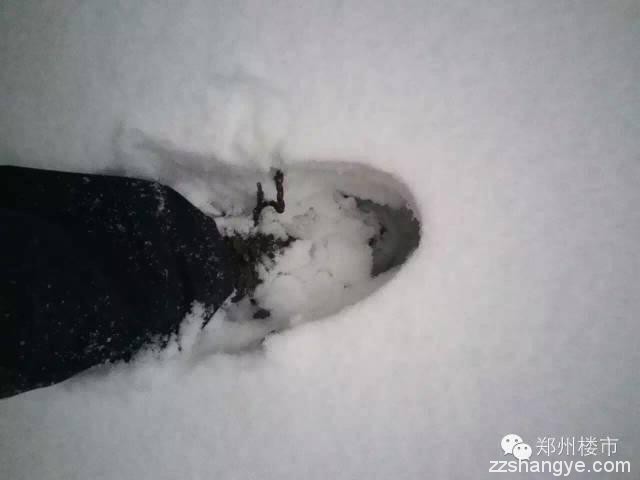 2015年的第一场雪：郑州的美与郑县的涩