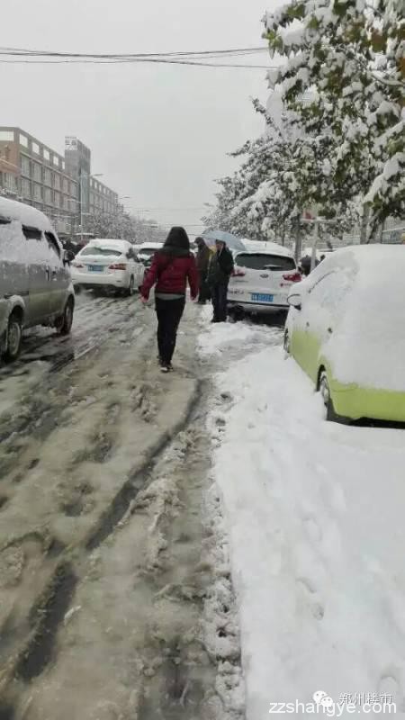 2015年的第一场雪：郑州的美与郑县的涩