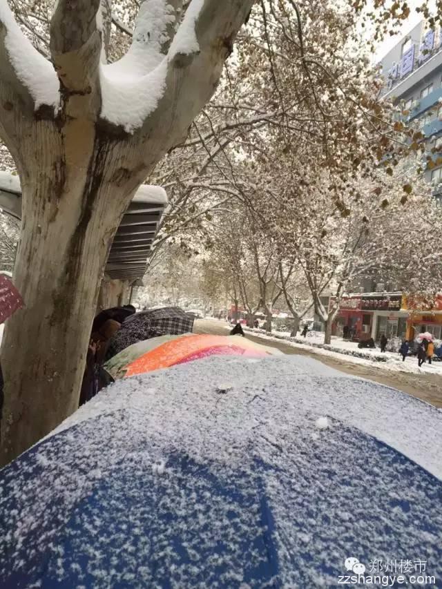 2015年的第一场雪：郑州的美与郑县的涩