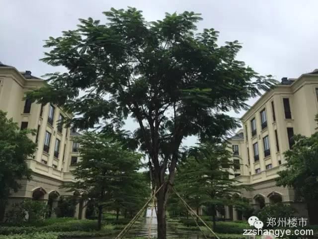 致开发商：员工去海南考察学习+度假游玩的N个楼盘推荐