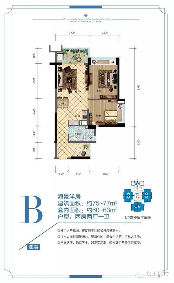 1.16日下午海南雅居乐月亮湾专场团购会