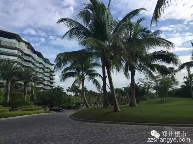 海南绿城蓝湾小镇高性价比别墅麓云居：米宅提前拿到价格及优惠