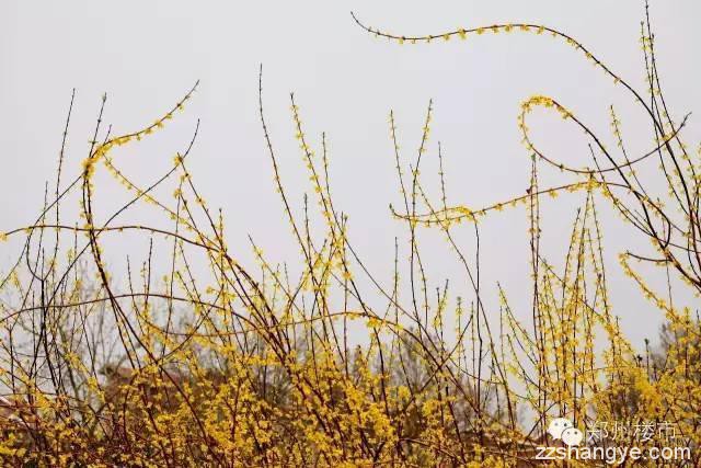 花开正好，莫负春光