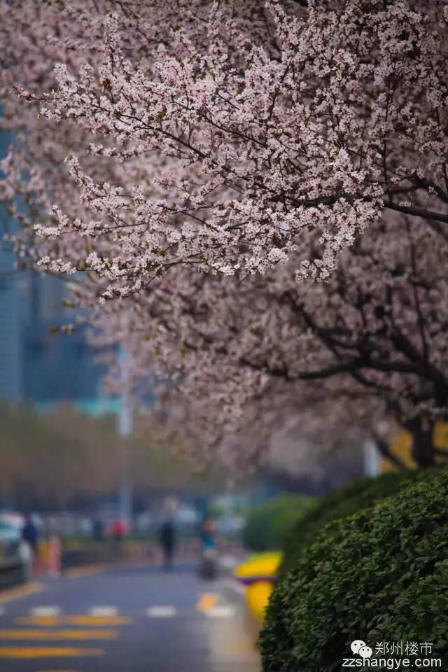 花开正好，莫负春光