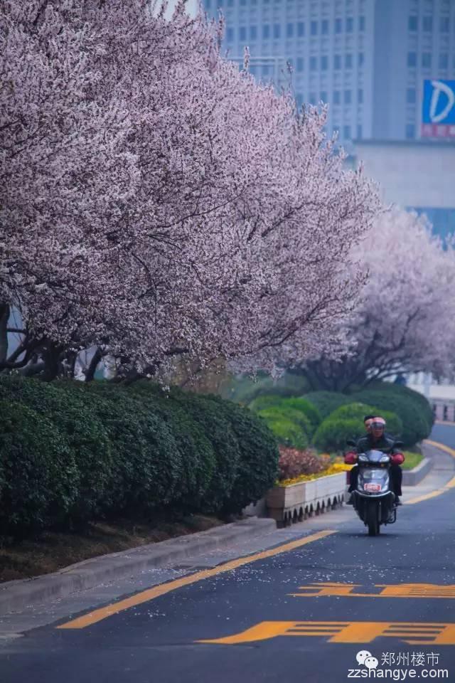 花开正好，莫负春光