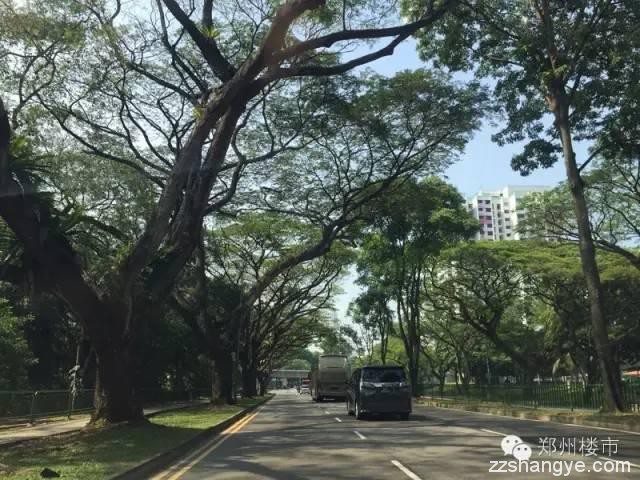 原来这TM才是花园城市！这才配叫绿城！